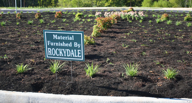 Rockydale Bio Mix Soils